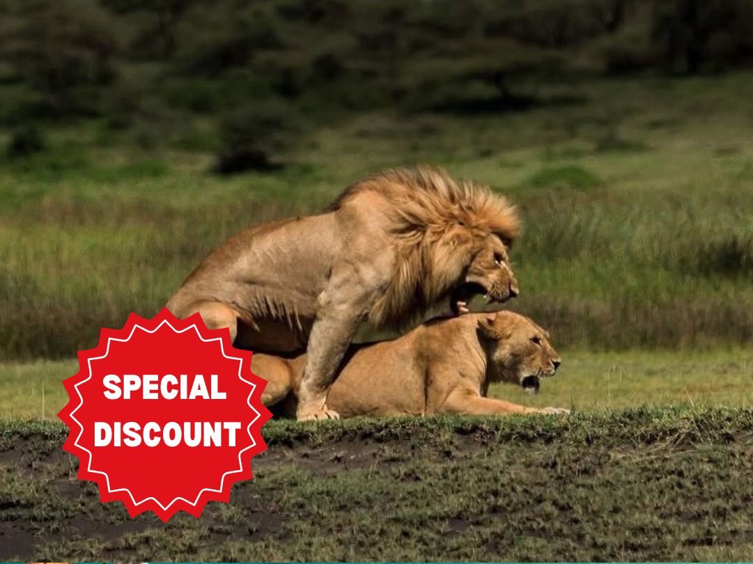 romantic-tanzania-honeymoon-safari-packages